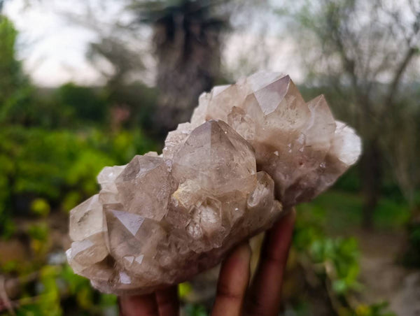Natural Phantom Smokey Quartz Clusters x 2 From Luena, Congo