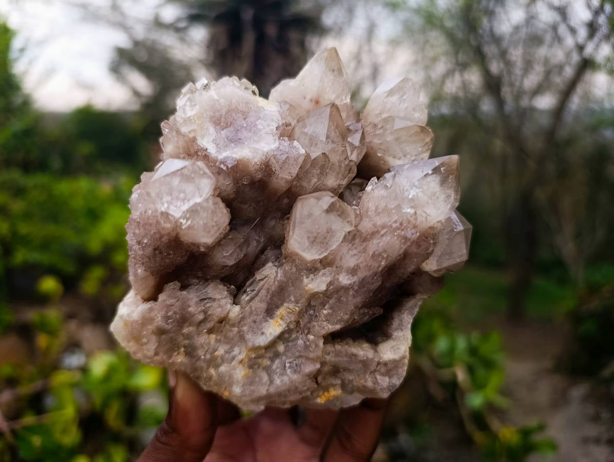 Natural Phantom Smokey Quartz Clusters x 2 From Luena, Congo - Toprock Gemstones and Minerals 