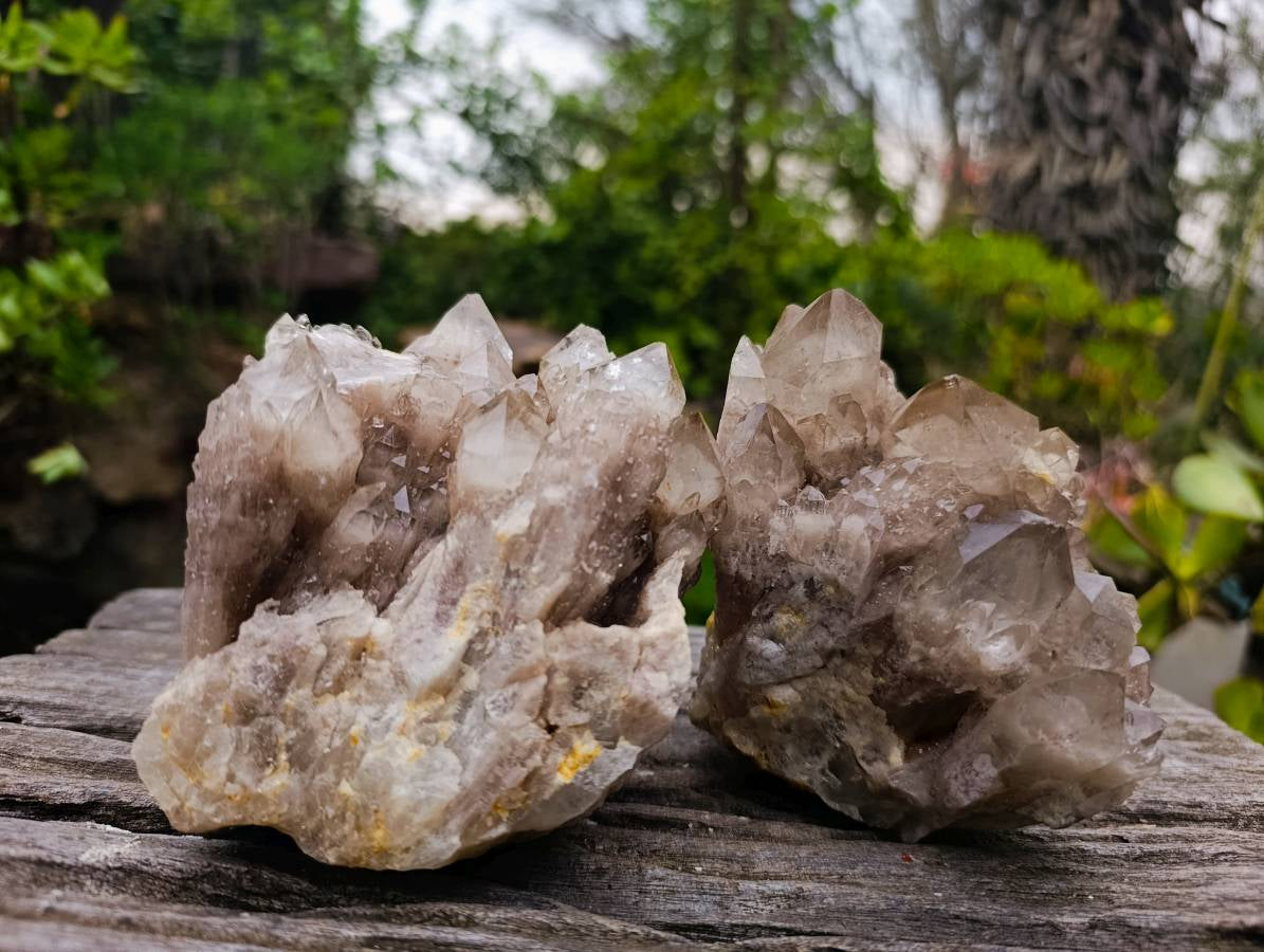 Natural Phantom Smokey Quartz Clusters x 2 From Luena, Congo - Toprock Gemstones and Minerals 