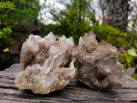 Natural Phantom Smokey Quartz Clusters x 2 From Luena, Congo