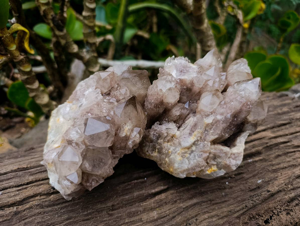 Natural Phantom Smokey Quartz Clusters x 2 From Luena, Congo - Toprock Gemstones and Minerals 