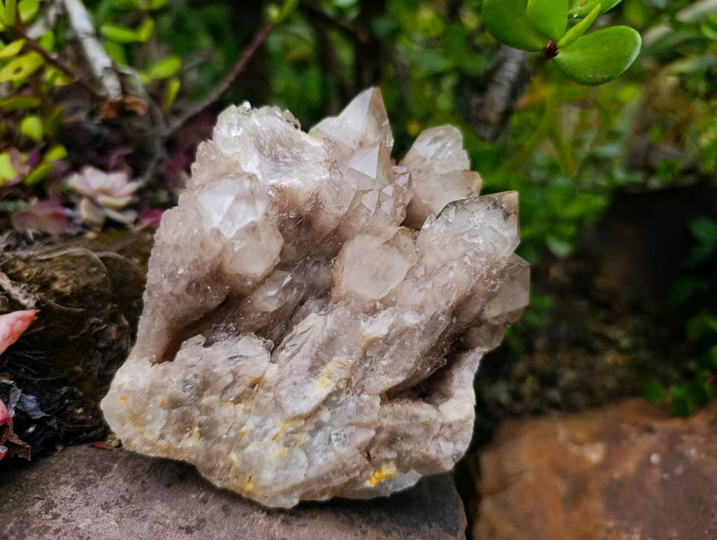 Natural Phantom Smokey Quartz Clusters x 2 From Luena, Congo - Toprock Gemstones and Minerals 