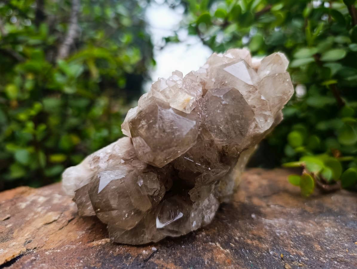 Natural Phantom Smokey Quartz Clusters x 2 From Luena, Congo - Toprock Gemstones and Minerals 