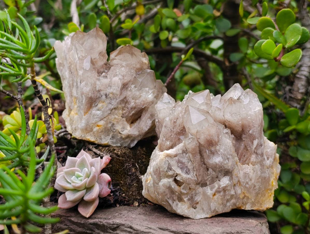 Natural Phantom Smokey Quartz Clusters x 2 From Luena, Congo - Toprock Gemstones and Minerals 