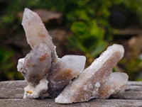 Natural Fairy Spirit Quartz Specimens x 70 From South Africa