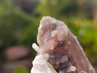 Natural Fairy Spirit Quartz Specimens x 70 From South Africa