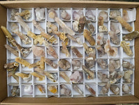 Natural Fairy Spirit Quartz Specimens x 70 From South Africa