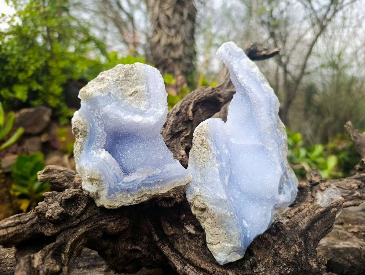 Natural Blue Lace Agate Geode Specimens x 6 From Malawi - Toprock Gemstones and Minerals 