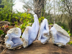 Natural Blue Lace Agate Geode Specimens x 6 From Malawi - Toprock Gemstones and Minerals 