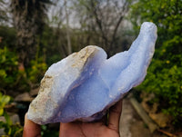 Natural Blue Lace Agate Geode Specimens x 6 From Malawi