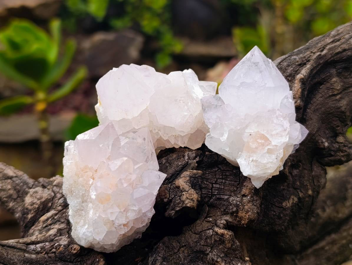 Natural Spirit Quartz Specimens x 20 From South Africa - Toprock Gemstones and Minerals 