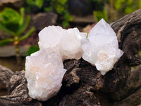 Natural Spirit Quartz Specimens x 20 From South Africa