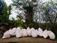 Natural Spirit Quartz Specimens x 20 From South Africa