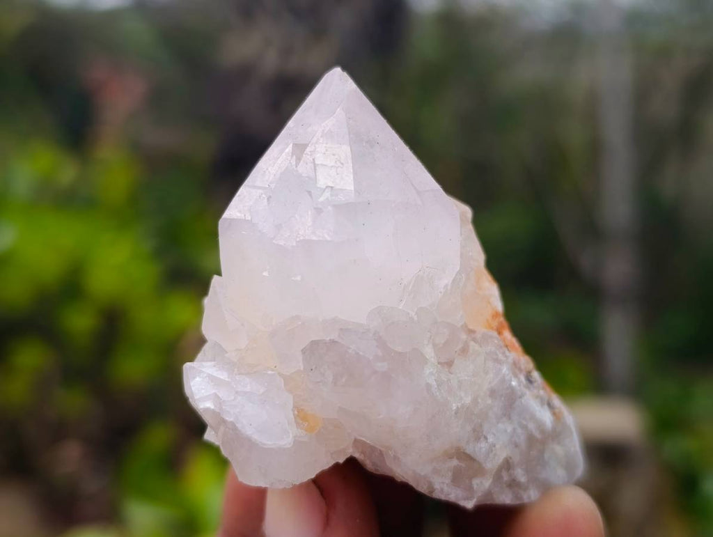 Natural Spirit Quartz Specimens x 20 From South Africa - Toprock Gemstones and Minerals 