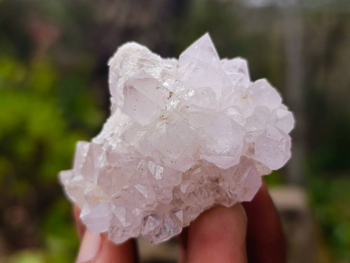 Natural Spirit Quartz Specimens x 20 From South Africa - Toprock Gemstones and Minerals 
