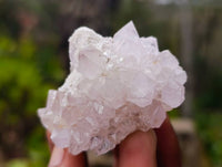 Natural Spirit Quartz Specimens x 20 From South Africa