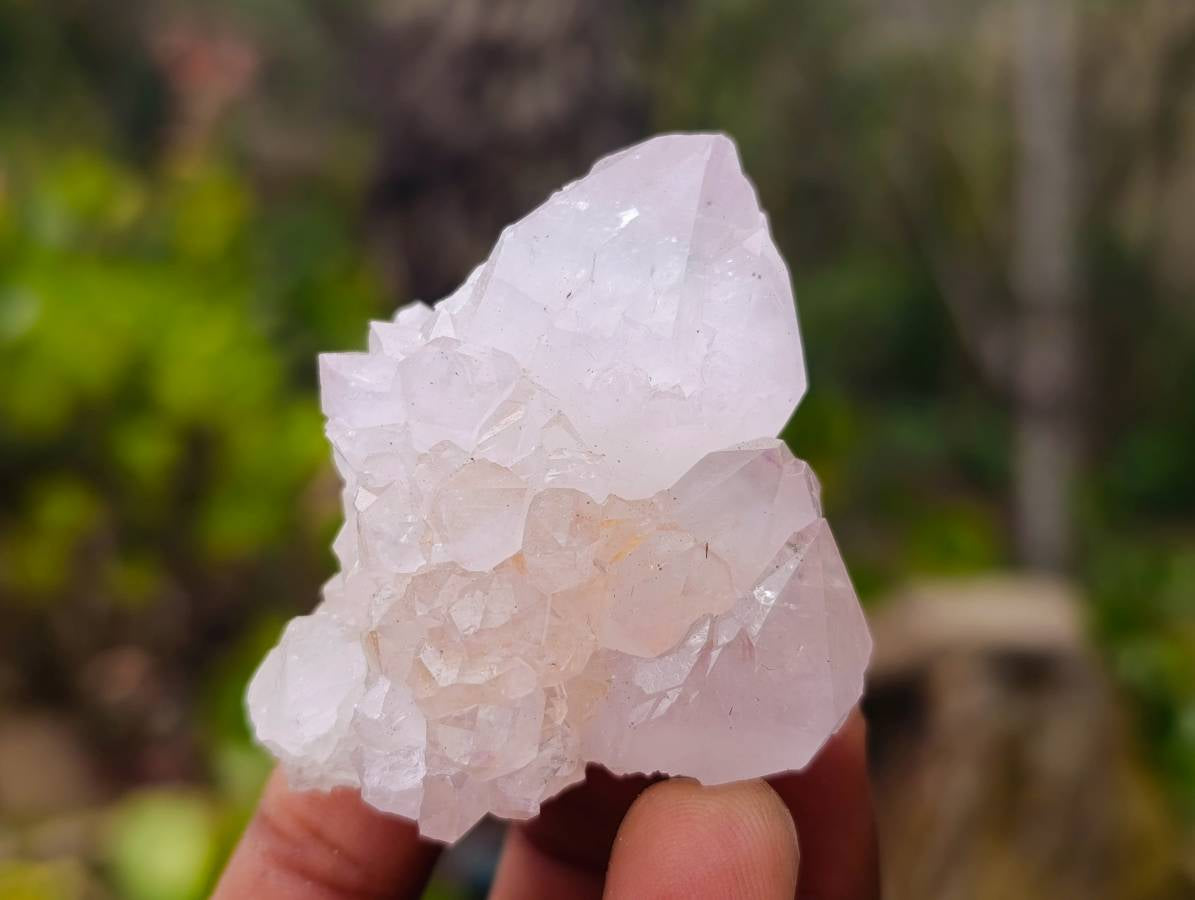 Natural Spirit Quartz Specimens x 20 From South Africa - Toprock Gemstones and Minerals 