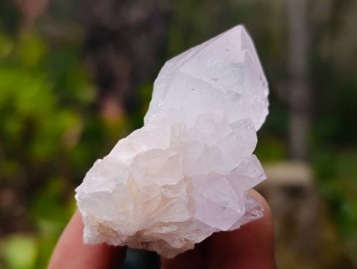 Natural Spirit Quartz Specimens x 20 From South Africa - Toprock Gemstones and Minerals 