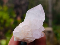 Natural Spirit Quartz Specimens x 20 From South Africa