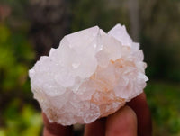 Natural Spirit Quartz Specimens x 20 From South Africa