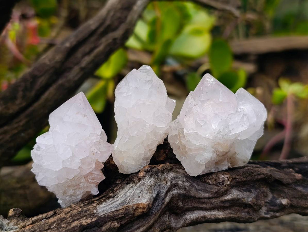 Natural Spirit Quartz Specimens x 20 From South Africa - Toprock Gemstones and Minerals 