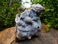 Natural Ball Malachite On Dolomite Matrix Specimen x 1 From Kambove, Congo
