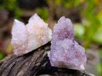 Natural Amethyst Spirit Quartz Clusters x 35 From South Africa - Toprock Gemstones and Minerals 