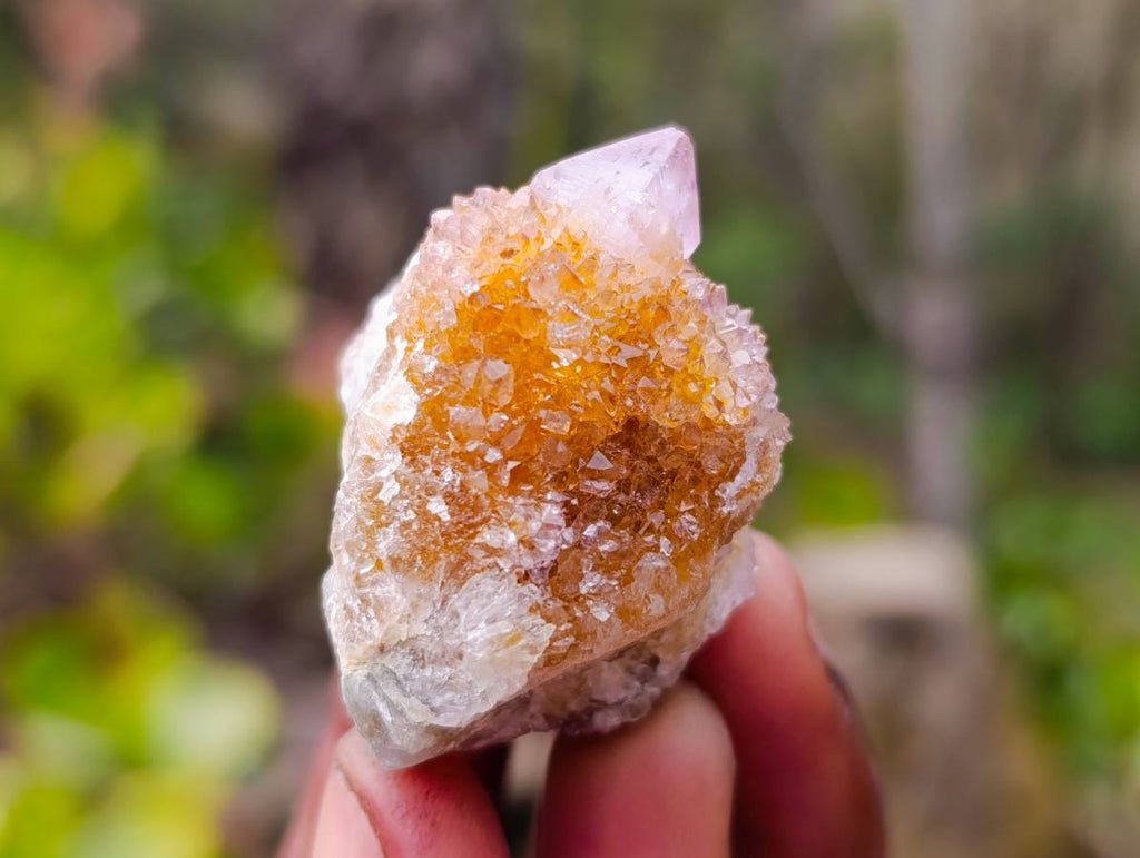 Natural Amethyst Spirit Quartz Clusters x 35 From South Africa - Toprock Gemstones and Minerals 