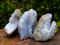 Natural Blue Lace Agate Geode Specimens x 24 From Malawi