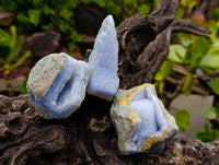 Natural Blue Lace Agate Geode Specimens x 24 From Malawi