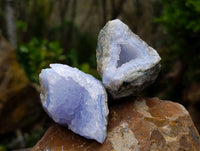 Natural Blue Lace Agate Geode Specimens x 24 From Malawi
