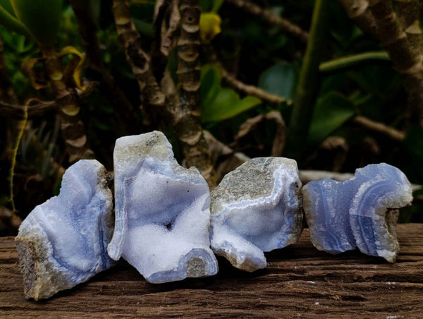 Natural Blue Lace Agate Geode Specimens x 24 From Malawi