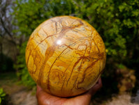 Polished Picture Stone Jasper Sphere x 1 From Ais-Ais, Namibia