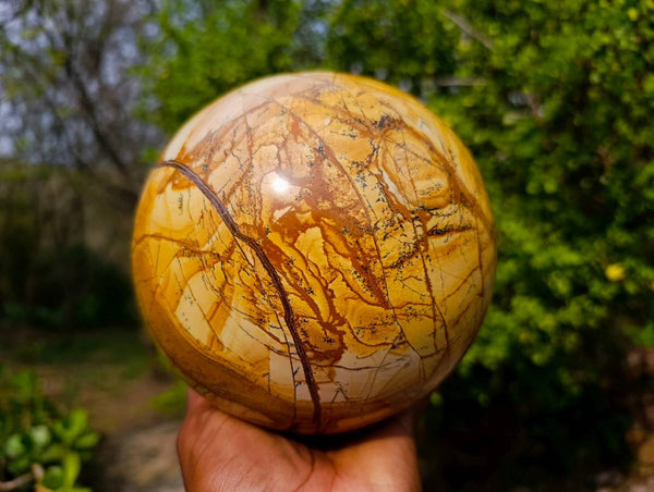 Polished Picture Stone Jasper Sphere x 1 From Ais-Ais, Namibia