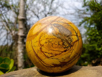 Polished Picture Stone Jasper Sphere x 1 From Ais-Ais, Namibia