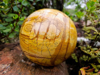 Polished Picture Stone Jasper Sphere x 1 From Ais-Ais, Namibia