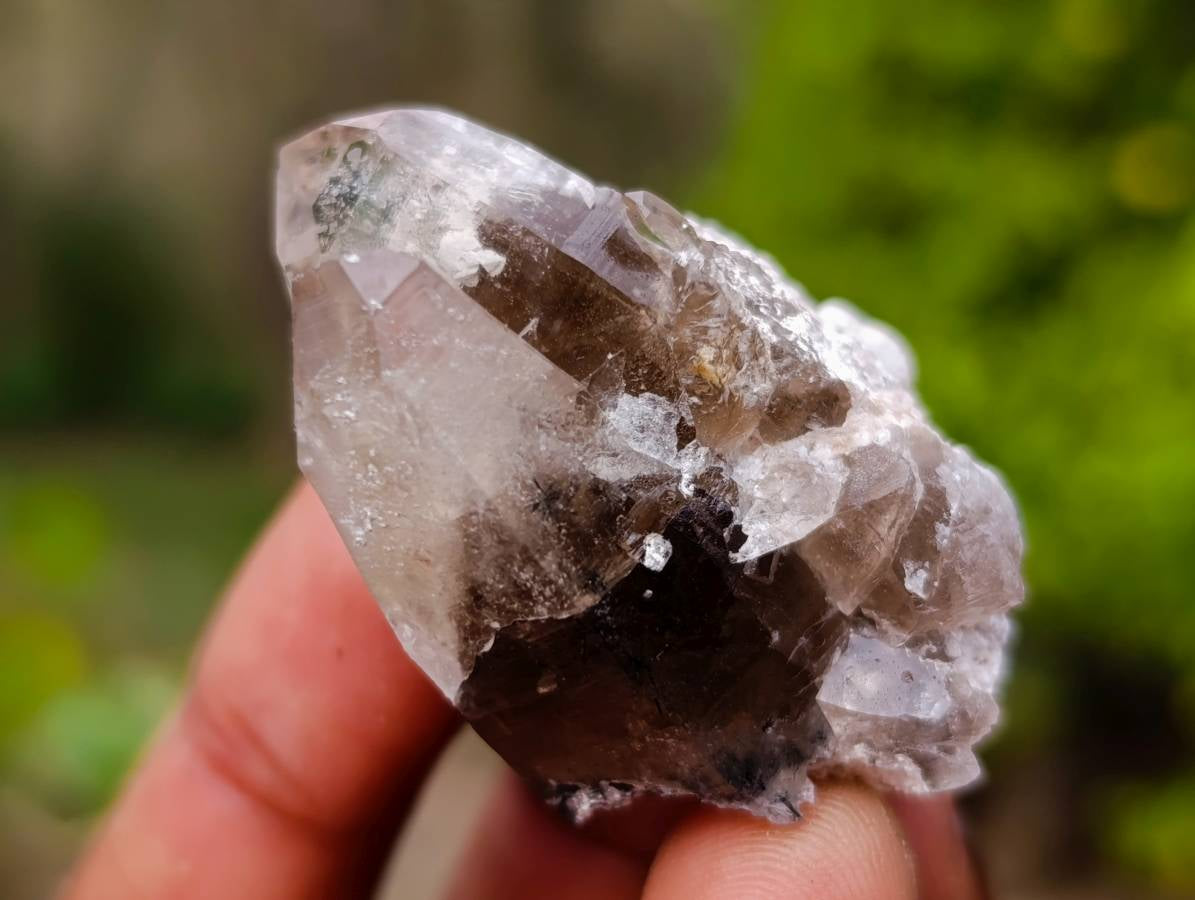 Natural Mixed Quartz Specimens x 24 From Brandberg, Namibia - Toprock Gemstones and Minerals 