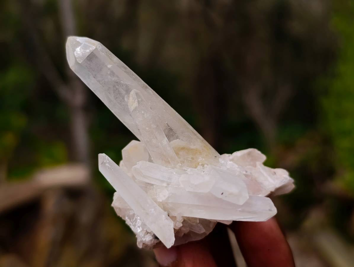 Natural Mixed Quartz Specimens x 24 From Brandberg, Namibia - Toprock Gemstones and Minerals 
