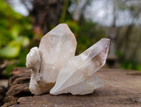 Natural Mixed Quartz Specimens x 24 From Brandberg, Namibia