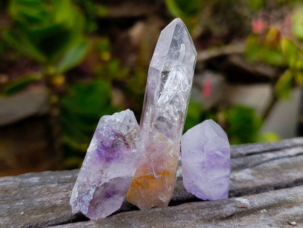 Natural Mixed Quartz Specimens x 24 From Brandberg, Namibia