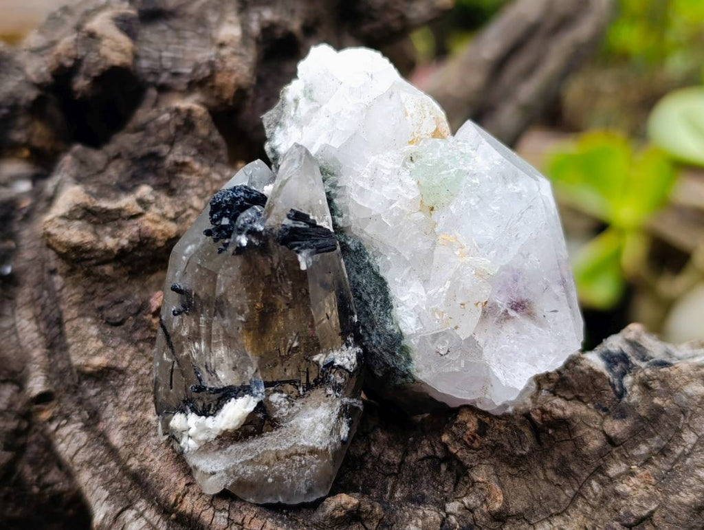 Natural Mixed Quartz Specimens x 24 From Brandberg, Namibia - Toprock Gemstones and Minerals 