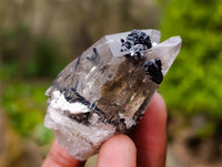Natural Mixed Quartz Specimens x 24 From Brandberg, Namibia
