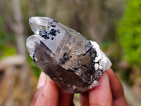 Natural Mixed Quartz Specimens x 24 From Brandberg, Namibia