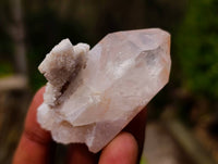 Natural Mixed Quartz Specimens x 24 From Brandberg, Namibia