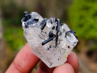 Natural Mixed Quartz Specimens x 24 From Brandberg, Namibia
