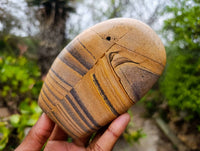 Polished Picture Stone Jasper Standing Free Forms x 2 From Ais-Ais, Namibia - Toprock Gemstones and Minerals 