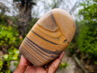 Polished Picture Stone Jasper Standing Free Forms x 2 From Ais-Ais, Namibia - Toprock Gemstones and Minerals 