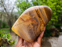 Polished Picture Stone Jasper Standing Free Forms x 2 From Ais-Ais, Namibia - Toprock Gemstones and Minerals 