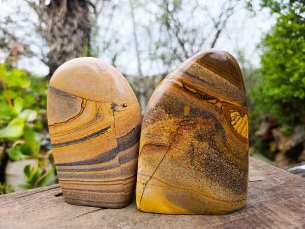 Polished Picture Stone Jasper Standing Free Forms x 2 From Ais-Ais, Namibia
