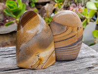 Polished Picture Stone Jasper Standing Free Forms x 2 From Ais-Ais, Namibia - Toprock Gemstones and Minerals 
